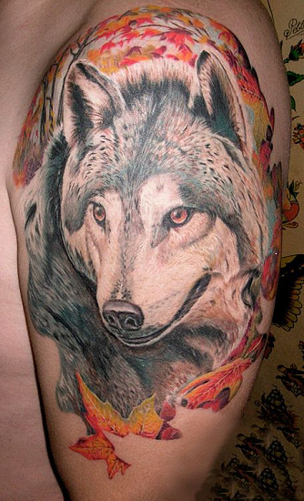 Татуировка волк осенью