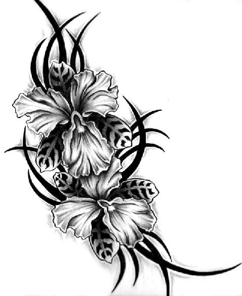 Эскиз татуировки узора с орхидеями