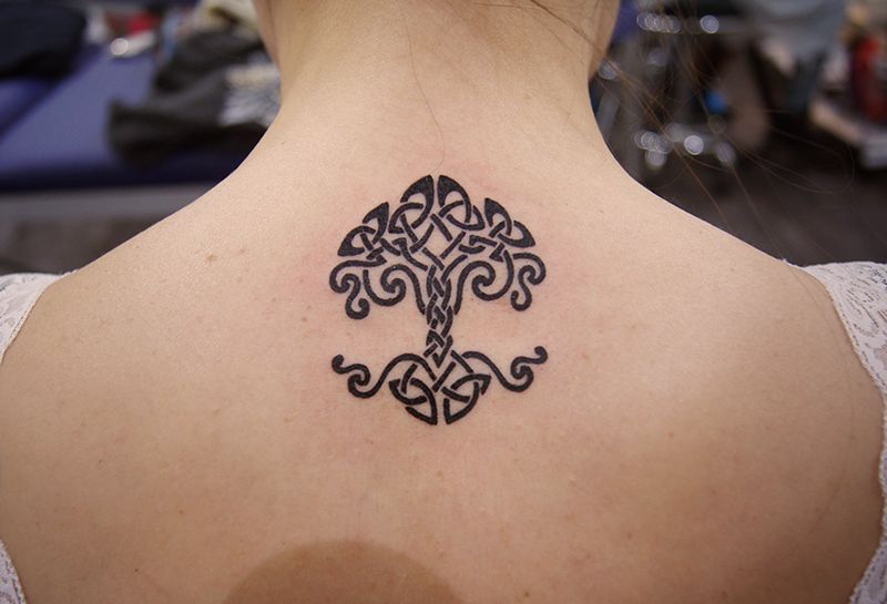 Татуировка дерево в Кельтском стиле