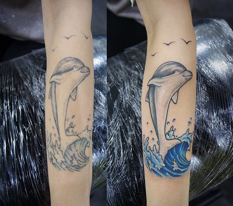 Обновление тату дельфин