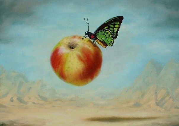 Эскиз бабочка и яблоко