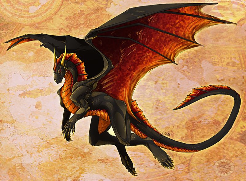 Эскиз татуировки воспарившего дракона