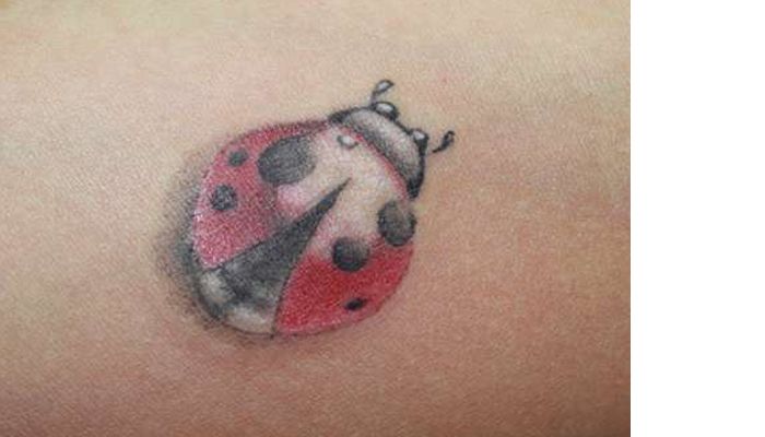 Татуировка Божья коровка у мастера Юрия