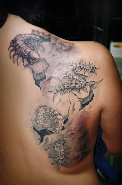Татуировка на спине Скалапендра