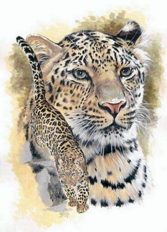 Эскиз татуировки леопард