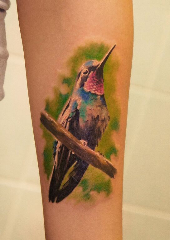 Татуировка птица в акварели