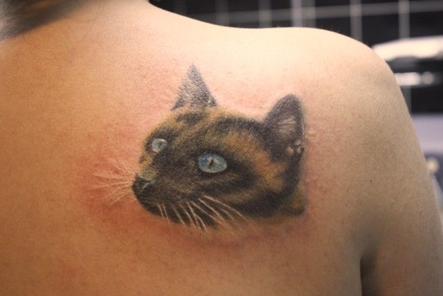 Реставрация татуировки кошки