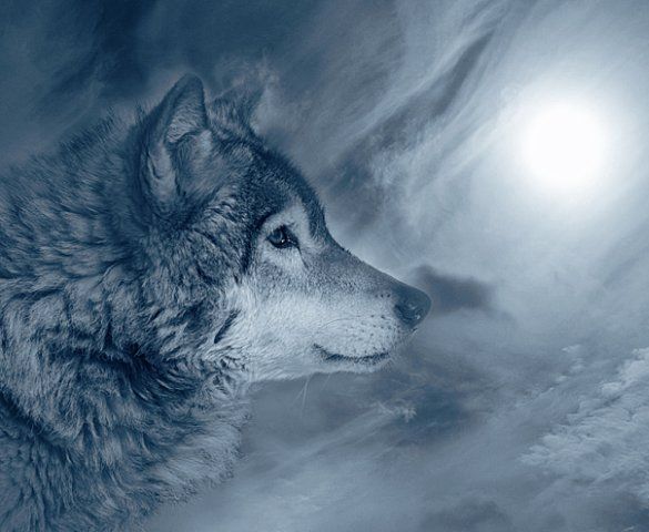 Эскиз тату волка при полной луне