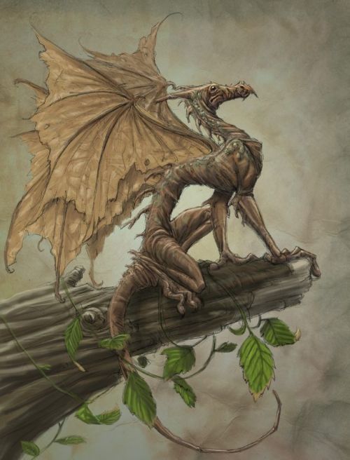 Эскиз тату возрождающегося дракона