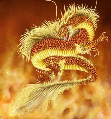 Эскиз тату китайского дракона