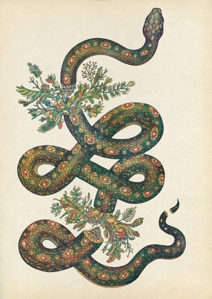 Эскиз тату змеи цветущих лугов