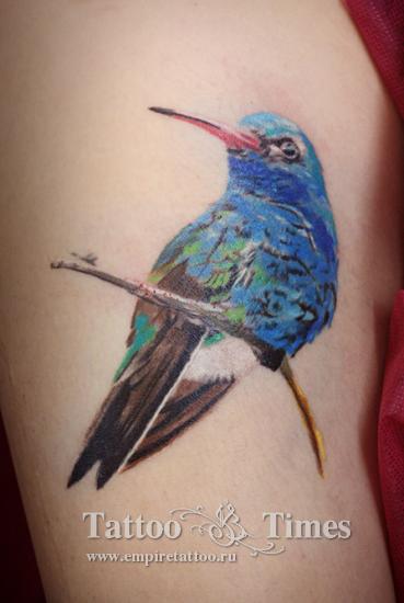 Татуировка птицы на ветке