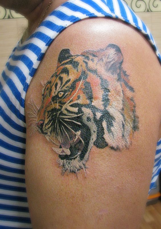 Татуировка тигр реализм на плече