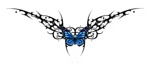 Эскиз бабочка и узор