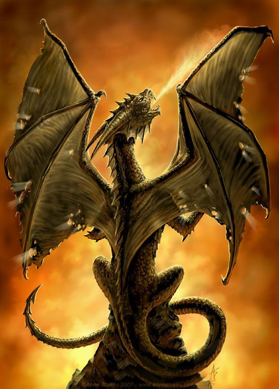 Эскиз татуировки дракона огнедышащего