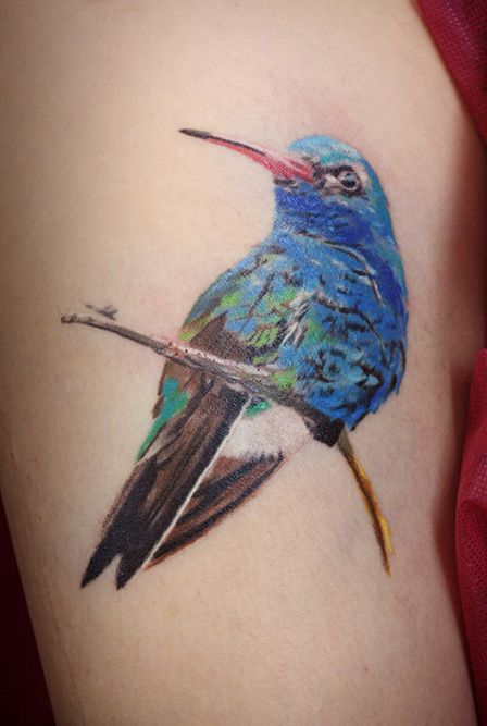 Татуировка птица на ветке