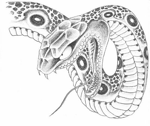 Эскиз татуировки голова змеи