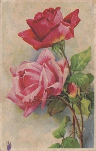 Эскиз тату роз с открытки