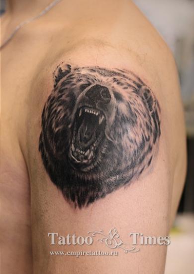 Мужская тату медведь на плече