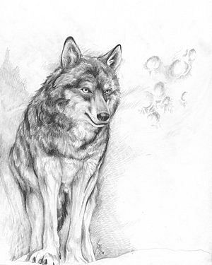 Татуировка мудрого волка - эскиз