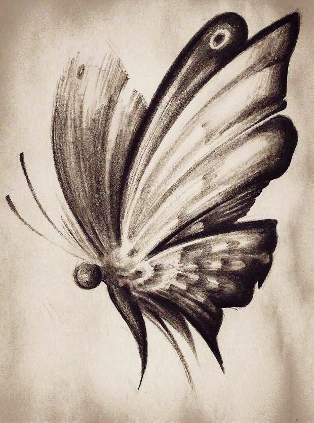 Эскиз интимной татуировки бабочка