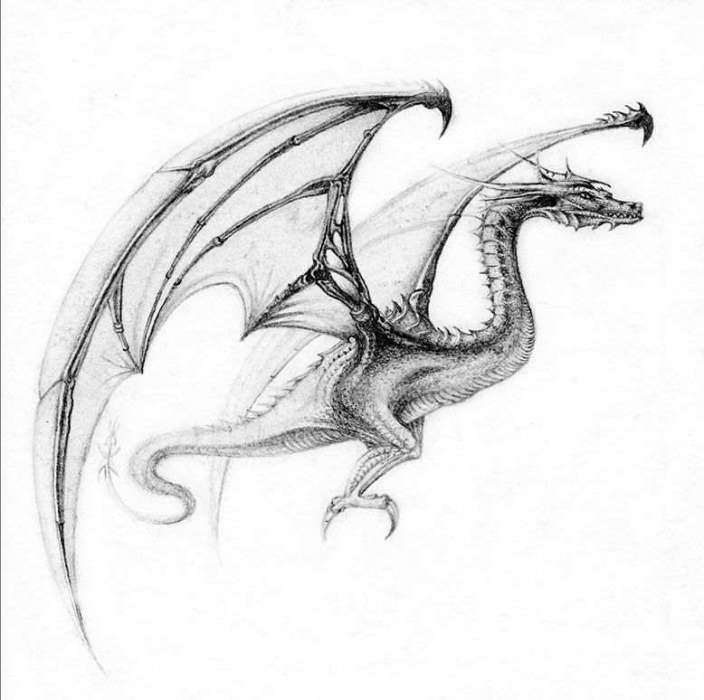 Эскиз тату изящного дракона
