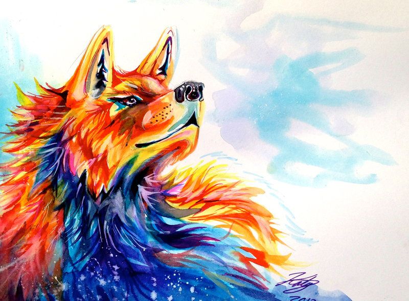 Эскиз татуировки разноцветного волка