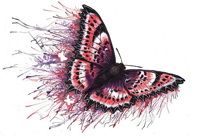 Эскиз женской тату летящая бабочка