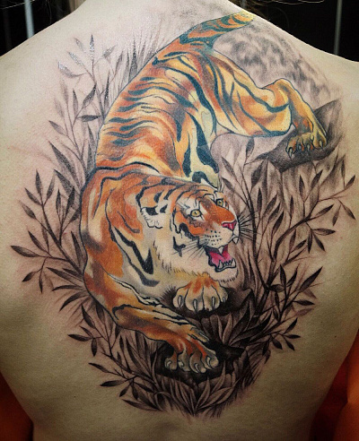 Тату тигр на спине