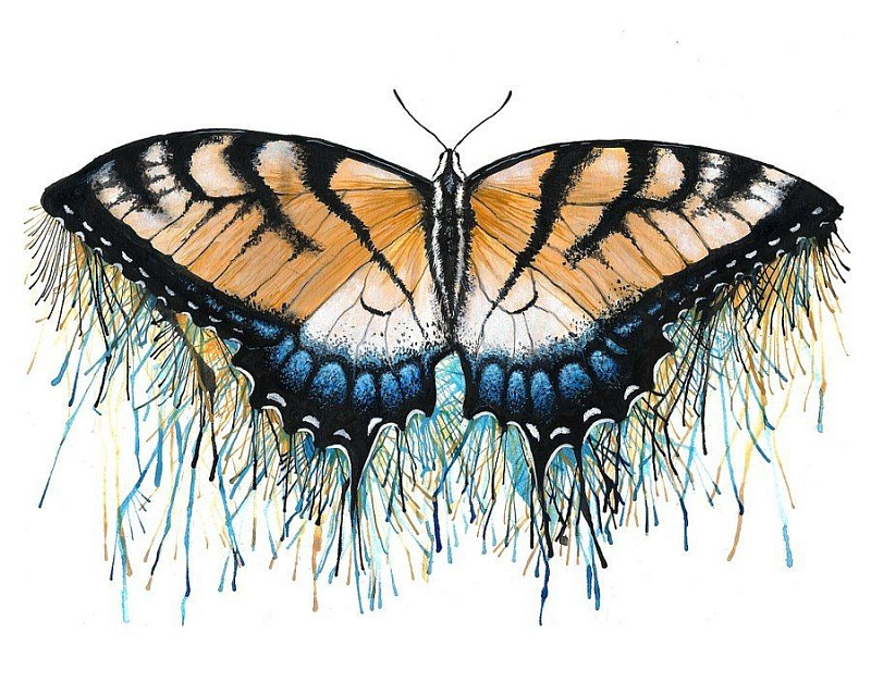 Эскиз женской тату - бабочка
