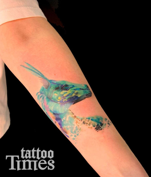 Тату лошадь - амфибия