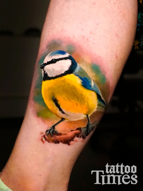 Тату синица