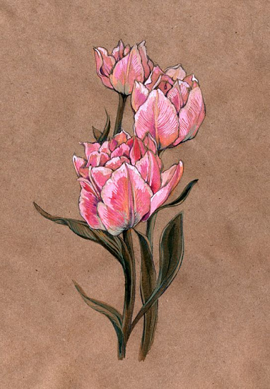 Эскиз татуировки тюльпаны