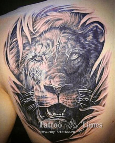 Татуировка Лев для мужчин