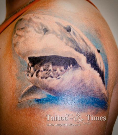 Тату акула на плече у мужчины