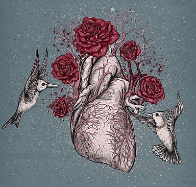 Эскиз татуировки сердце с розами и птицами