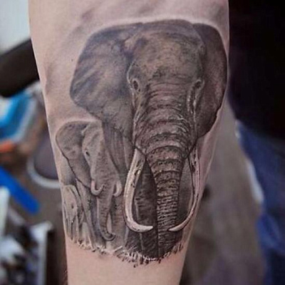 Татуировка для мужчин Слоны