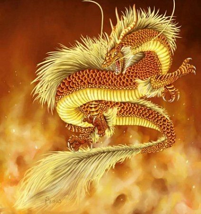 Эскиз тату китайского дракона