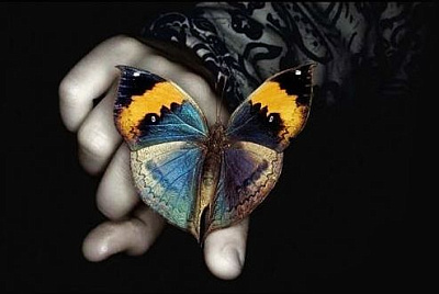 Эскиз бабочка на руке