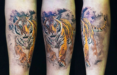 Цветное тату тигра на руке