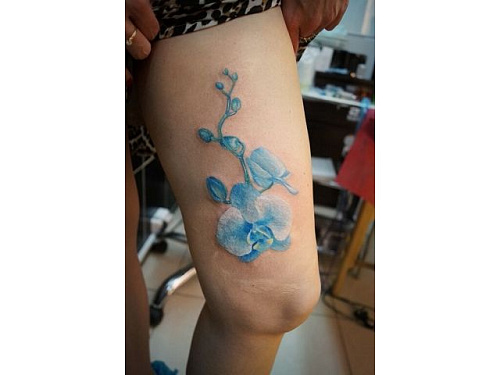 Тату цветы перекрытие шрама