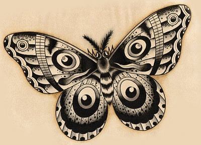 Эскиз Бабочки черно-белый