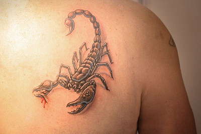 Татуировка скорпион на лопатке