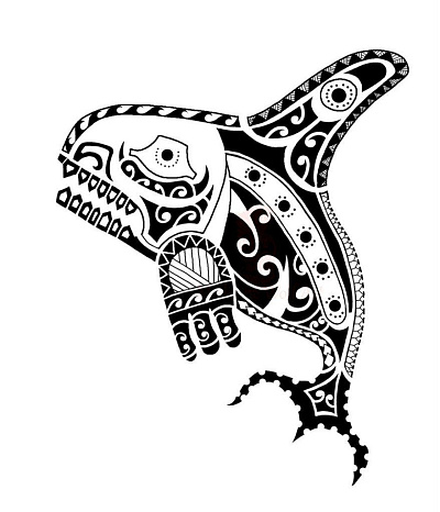 Эскиз татуировки Полинезия акула