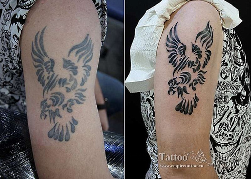 Обновление птицы на плече