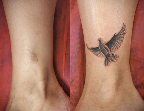 Перекрытие шрама птичка