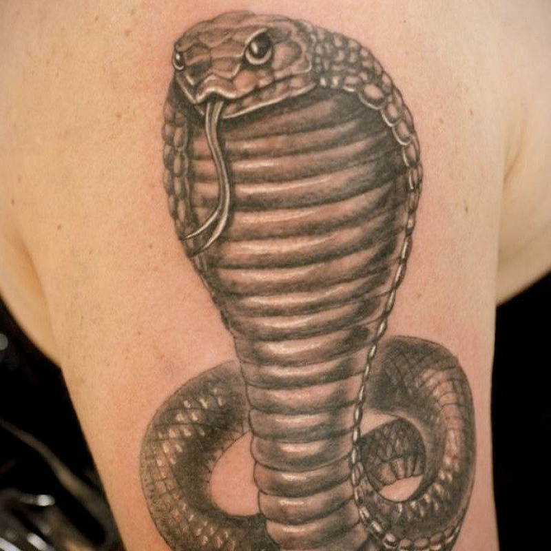 Татуировка кобра