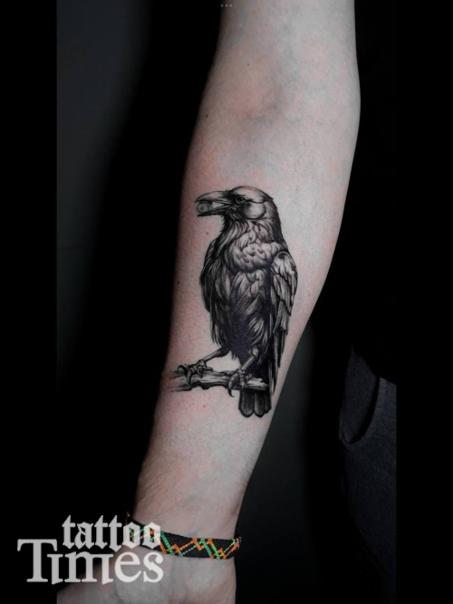 Тату ворон на руке