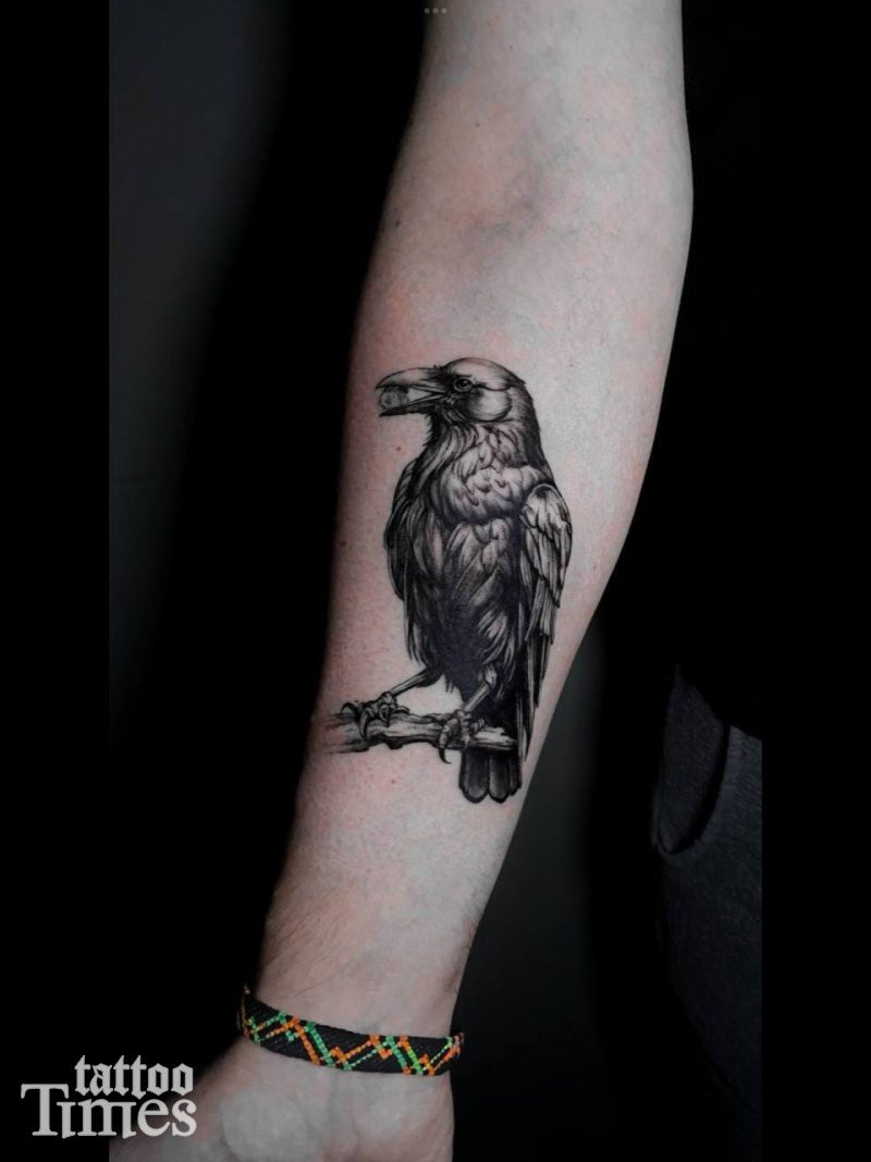 Тату ворон на руке