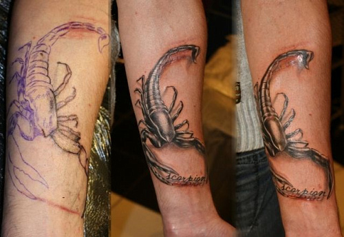Перекрытие шрама тату Скорпион